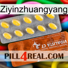 Ziyinzhuangyang 42